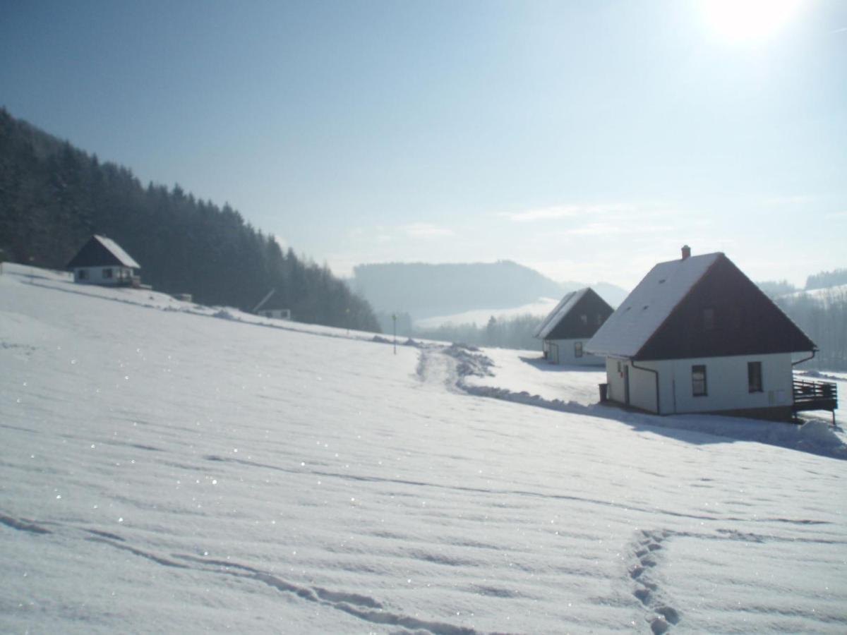 Holiday Home Starkov By Interhome Bagian luar foto