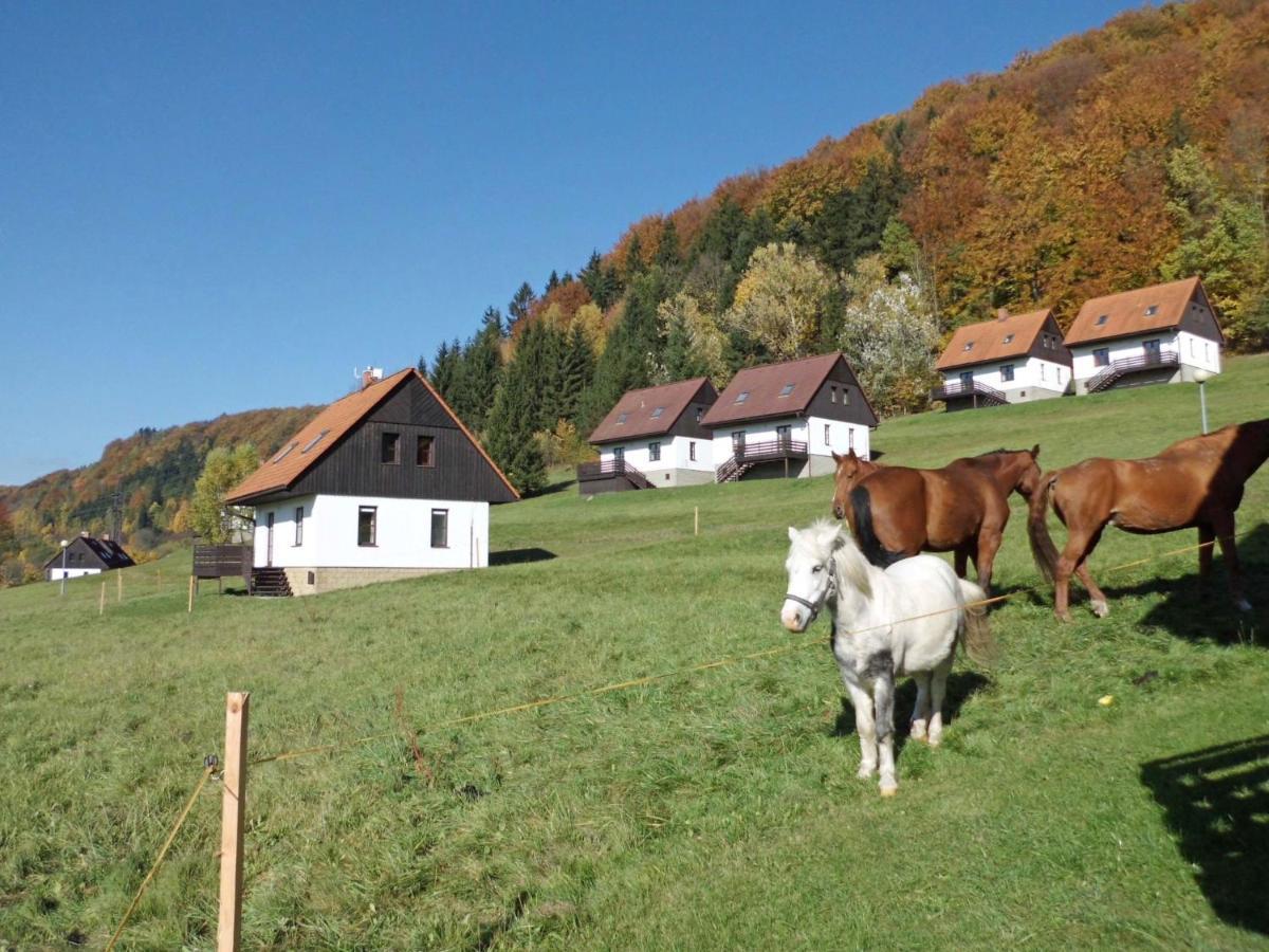 Holiday Home Starkov By Interhome Bagian luar foto