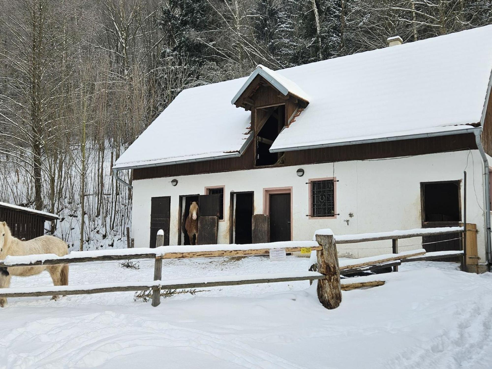 Holiday Home Starkov By Interhome Bagian luar foto